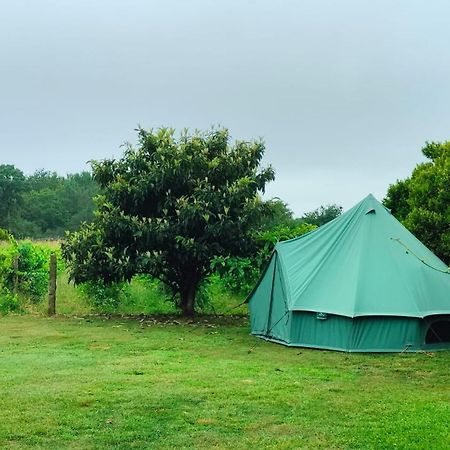 MonçãoQuinta Da Teimosa别墅 外观 照片